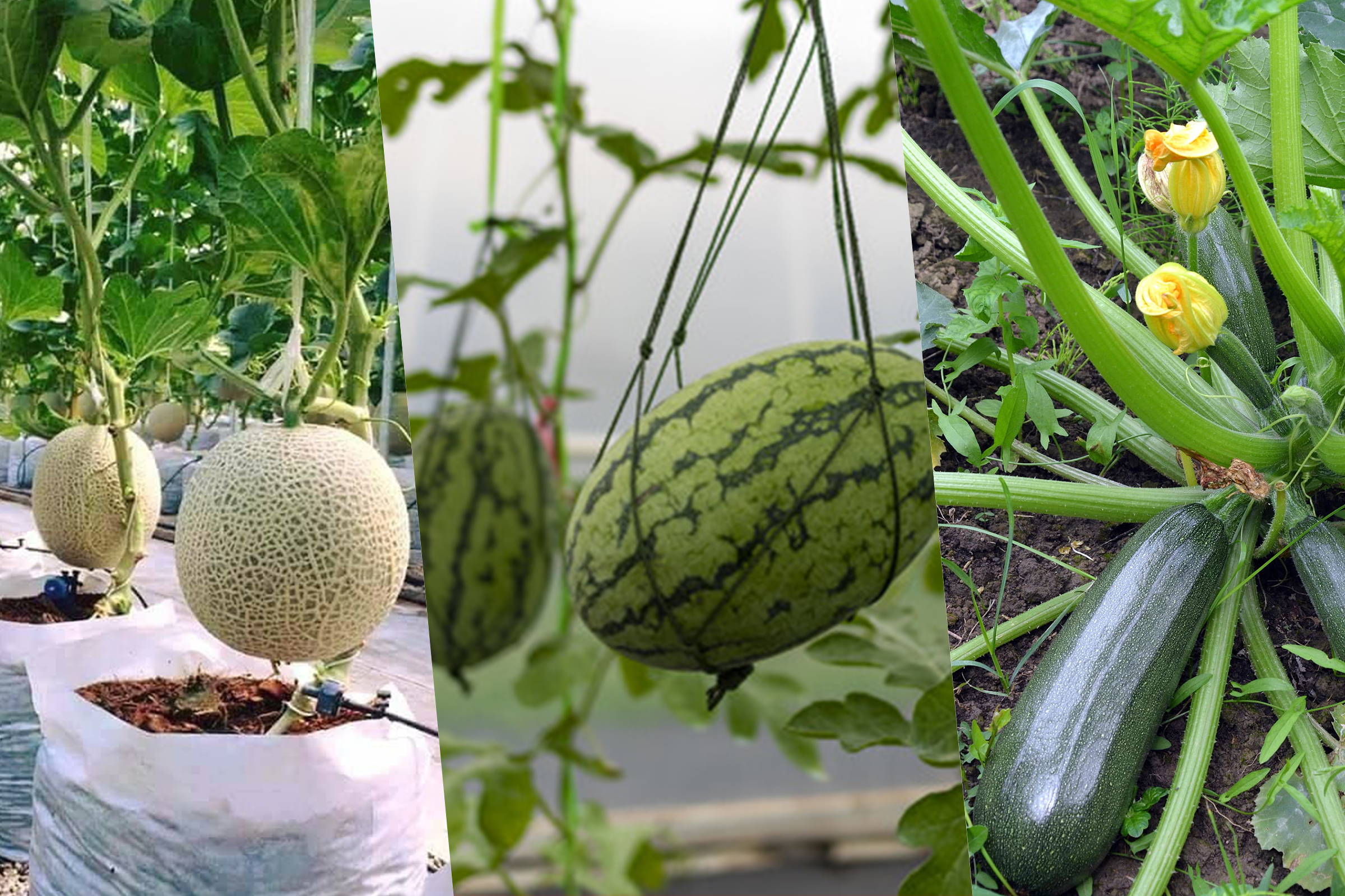 Tratamiento de tierra